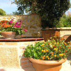 Отель Agriturismo Fattoria La Prugnola Монтескудаио фото 7