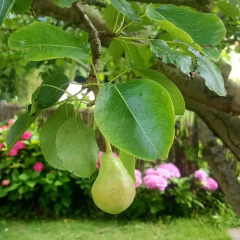 Отель Posada Las Garzas Испания, Сантония - отзывы, цены и фото номеров - забронировать отель Posada Las Garzas онлайн фото 2