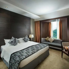 Peninsula Excelsior Hotel 4* Номер Делюкс с двуспальной кроватью фото 3