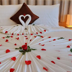 Begonia Nha Trang Hotel 3* Номер Делюкс с различными типами кроватей фото 25