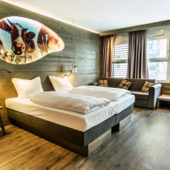 Отель Cocoon Hauptbahnhof 3* Стандартный номер с двуспальной кроватью фото 16