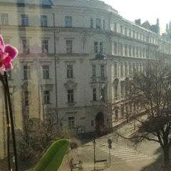 Апартаменты Nice View Apartment Прага балкон