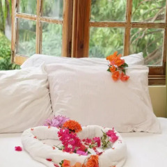 Отель The Gardenia Resort комната для гостей фото 2
