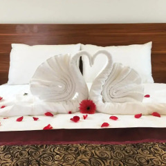 An Hotel 2* Номер Делюкс с двуспальной кроватью фото 3