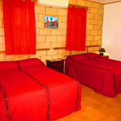 El Bosque Hotel 3* Стандартный номер с различными типами кроватей фото 4