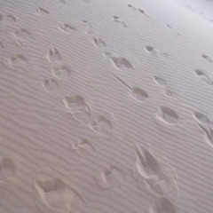 Отель Camel Trekking Company Марокко, Мерзуга - отзывы, цены и фото номеров - забронировать отель Camel Trekking Company онлайн удобства в номере