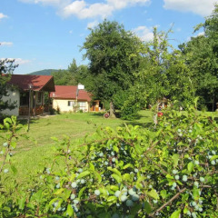 Отель Mirage Holiday Village Болгария, Сливен - отзывы, цены и фото номеров - забронировать отель Mirage Holiday Village онлайн фото 3