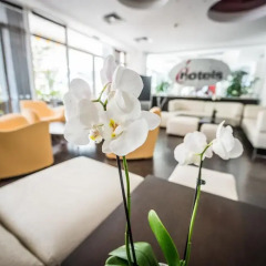 Hotel Perla гостиничный бар