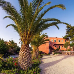 Vagia Hotel Стандартный номер с различными типами кроватей фото 49