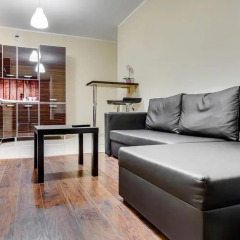 Отель Penguin Rooms 2217 on Dmowskiego Street Вроцлав комната для гостей фото 4