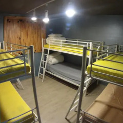 Owl Guesthouse - Hostel Кровать в женском общем номере с двухъярусной кроватью фото 5