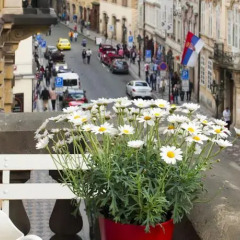 Отель Residence Malostranská Прага пляж