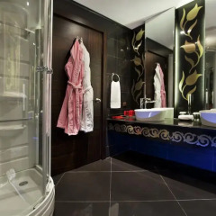 Euphoria Hotel Tekirova 5* Представительский люкс с различными типами кроватей фото 11