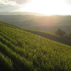 Отель Holiday Home Cannubi in Barolo Здание Barolo приотельная территория