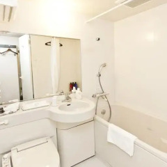 Отель Sotetsu Fresa Inn Nihombashi-Ningyocho 3* Стандартный номер с двуспальной кроватью фото 5