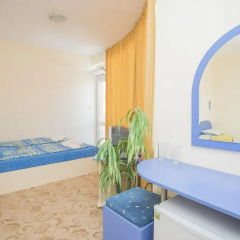 Family Hotel Bohemi Люкс