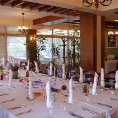 Отель Restaurant Dreri Албания, Тирана - отзывы, цены и фото номеров - забронировать отель Restaurant Dreri онлайн помещение для мероприятий фото 2