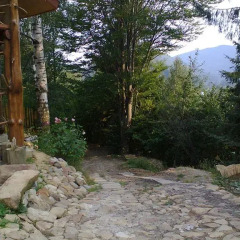 Гостиница Petrikholm фото 4