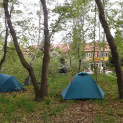 Отель Otel Issyk-Kul-Karakol Кыргызстан, Каракол - отзывы, цены и фото номеров - забронировать отель Otel Issyk-Kul-Karakol онлайн детские мероприятия