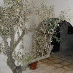 Отель Antica Dimora Catalana Италия, Палермо - отзывы, цены и фото номеров - забронировать отель Antica Dimora Catalana онлайн