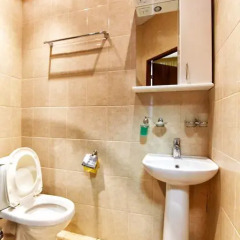 Гостиница Алексеевский 2* Номер Комфорт с различными типами кроватей фото 5