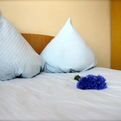 Отель B&B Simple комната для гостей фото 3