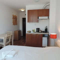 Апартаменты Gondola Apartments & Suites Студия Эконом с различными типами кроватей фото 8