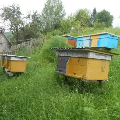 Гостиница U Panі Natalії фото 4
