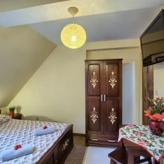 Отель Apartamenty i Pokoje w Willi na Ubocy Студия Делюкс фото 2