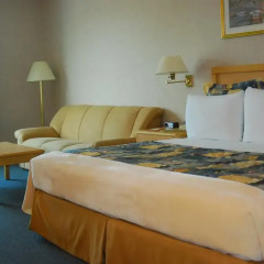 Отель Rio Vista Inn 3* Стандартный номер с различными типами кроватей фото 3