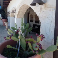 Отель Masseria Alberotanza Конверсано фото 2