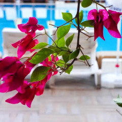 Grand Viking Hotel - All Inclusive бассейн фото 3