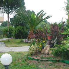 Отель Evangelia's Family House Греция, Ситония - отзывы, цены и фото номеров - забронировать отель Evangelia's Family House онлайн