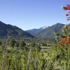 Отель Chile Wild - Las Vertientes