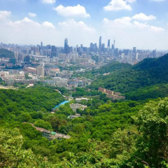 Отель Dan Executive Apartment Guangzhou Китай, Гуанчжоу - отзывы, цены и фото номеров - забронировать отель Dan Executive Apartment Guangzhou онлайн фото 10