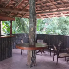 Отель Jungle Paradise Back House Шри-Ланка, Хиккадува - отзывы, цены и фото номеров - забронировать отель Jungle Paradise Back House онлайн фото 3