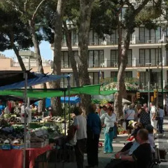 Hotel Balear гостиничный бар