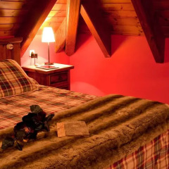 Gran Chalet Hotel & Petit Spa 3* Номер Премиум разные типы кроватей фото 10