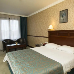Topkapi Inter Istanbul Hotel 4* Стандартный номер с различными типами кроватей фото 12