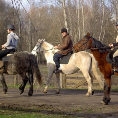 Отель A Lagosta Perdida спортивное сооружение