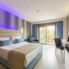 Отель TUI Magic Life Masmavi 4* Стандартный номер фото 8