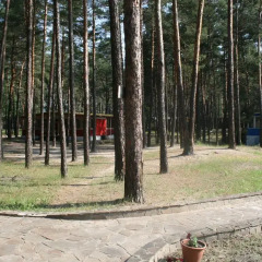 Гостиница Buymerivka Pine Spa-Resort Украина, Ахтырка - отзывы, цены и фото номеров - забронировать гостиницу Buymerivka Pine Spa-Resort онлайн спортивное сооружение