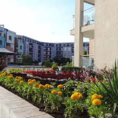 Апартаменты Sun City 1 Holiday Apartments Солнечный берег