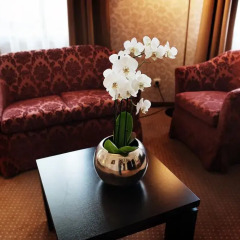 Отель Artis Centrum Hotels 4* Полулюкс с различными типами кроватей