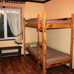 Отель Guesthouse The Hive Кровать в женском общем номере