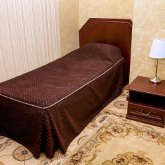 Гостиница Никитин 4* Стандартный номер с различными типами кроватей фото 3