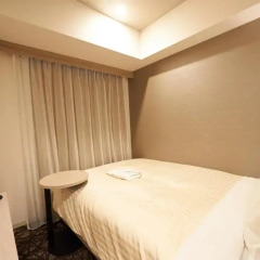 Отель Sotetsu Fresa Inn Ginza-Nanachome 3* Номер с различными типами кроватей фото 6