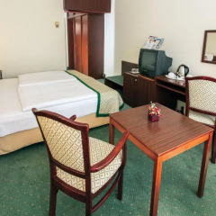 Hotel Hungaria City Center 4* Стандартный номер с двуспальной кроватью фото 3