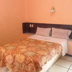 Hotel Gallo Rubio 2* Стандартный номер с различными типами кроватей фото 4