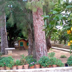 Отель El Sequer Casa Rural Испания, Олива - отзывы, цены и фото номеров - забронировать отель El Sequer Casa Rural онлайн